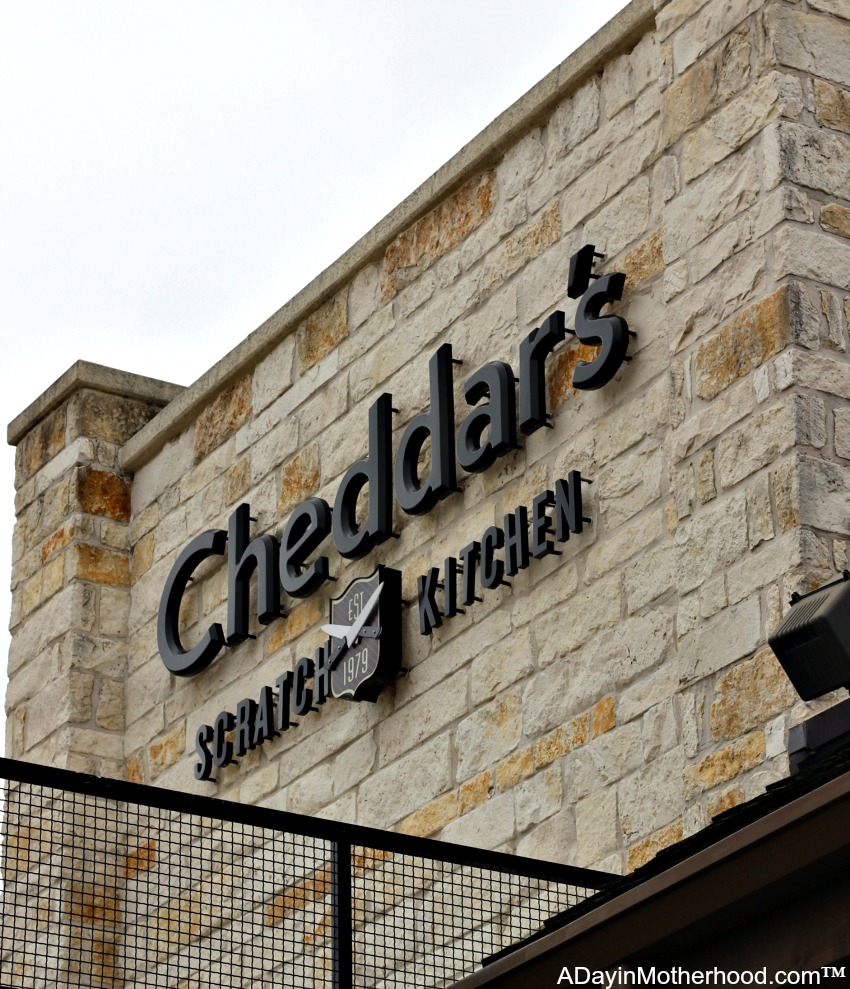 Cheddar's want to know, Who Inspires You?