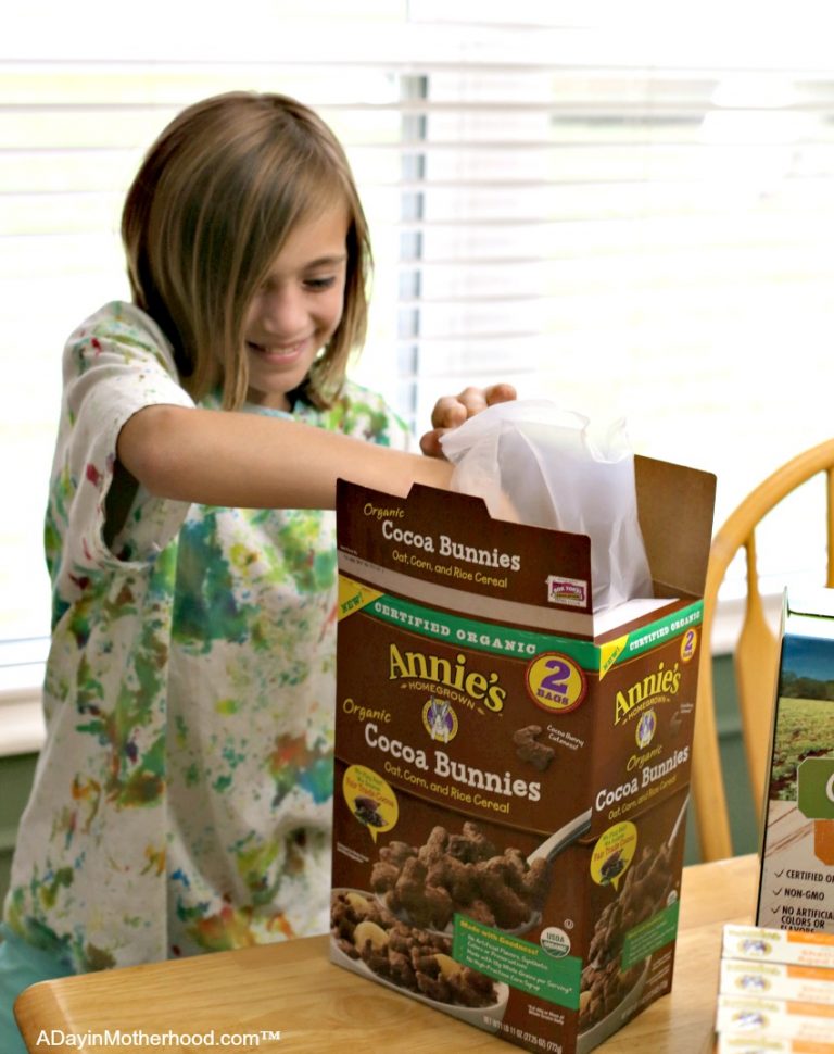Snack Time Staples Making Better Decisions for my Family