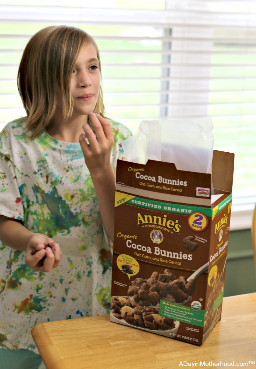 Snack Time Staples Making Better Decisions for my Family