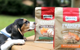 Why I Decided to Foster Puppies With Four Dogs of my Own