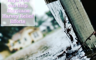 Find a list of ways you can help the relief efforts in Texas following Hurricane Harvey.