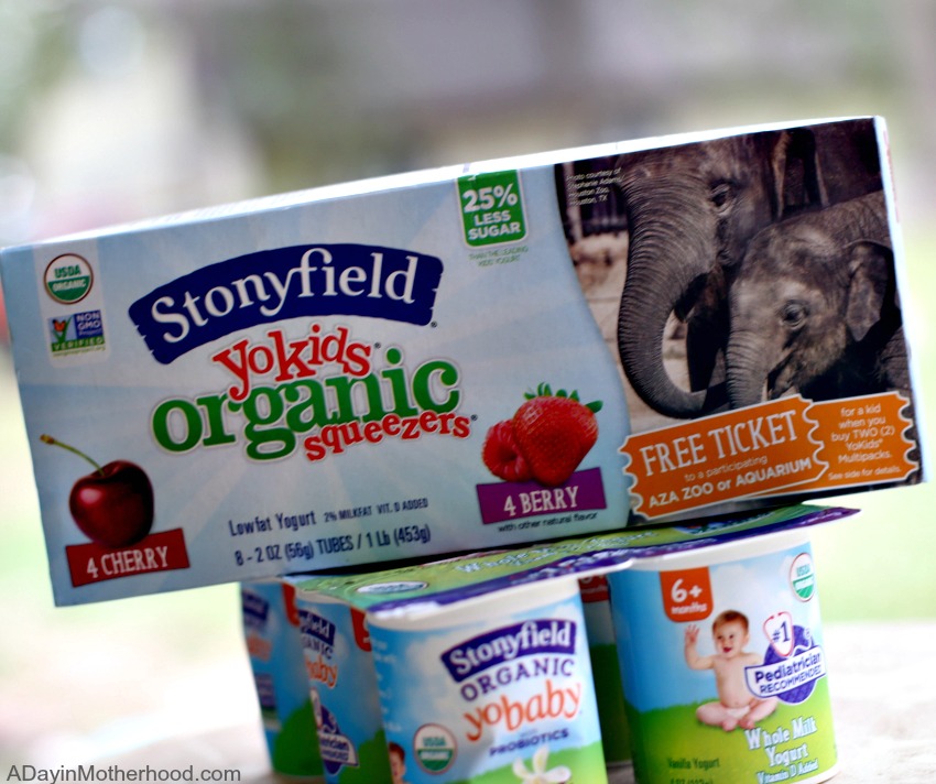After School Snacks With Less Sugar that You Can Feel Good About with Stonyfield