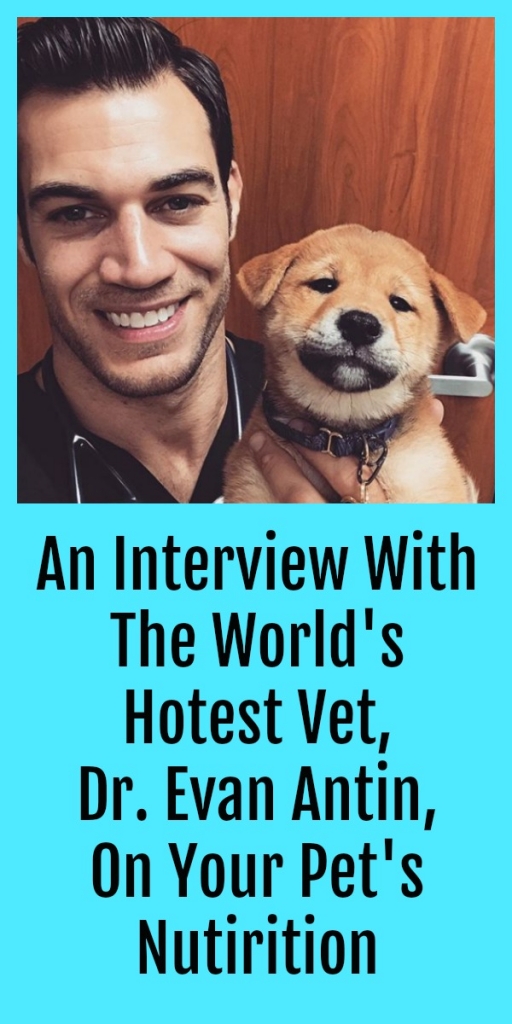 An Interview with World's Hottest Vet, Dr. Evan Antin, on Your Pet's
