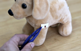 My Little Veterinarian Kit Teaches Love and Care for Pets like how to remove ticks