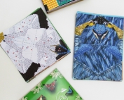 Fold and Fly All In One Origami Kits. ad