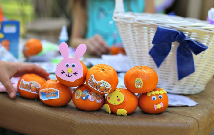 Fruit up Your Easter Basket with Halos they love
