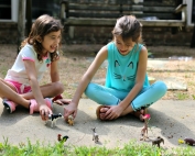 Let Their Imagination Soar with Wild Animals from Schleich Figurines that my kids love