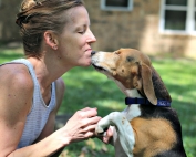 3 Things You Should Do for Your Adopted Dog
