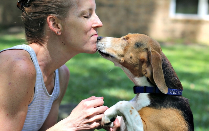 3 Things You Should Do for Your Adopted Dog