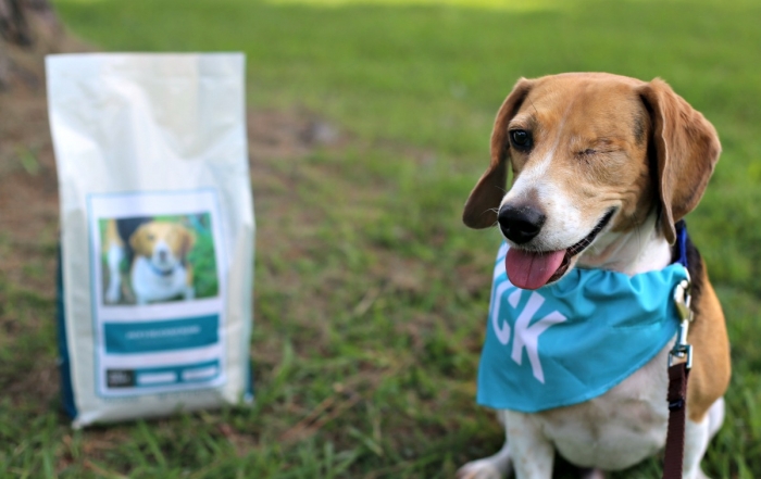 4 Benefits of Taking Your Dog on a Walk and his food