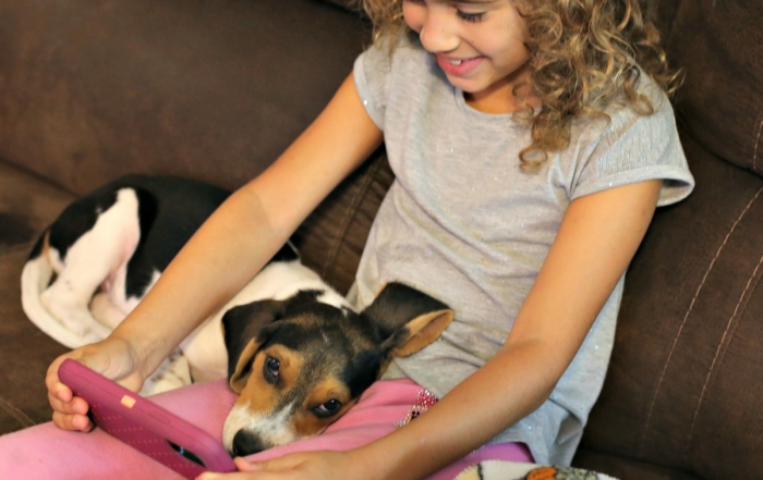 Maxi the Taxi Dog Comes to Life in an Augmented Reality App for Kids and dogs!