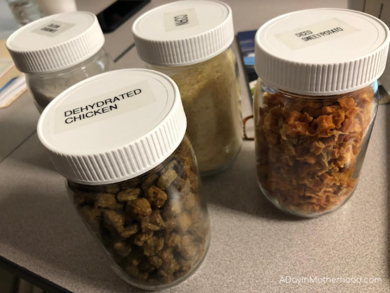 Walking a Dog Food Manufacturing Plant What I Learned About Our Pet Food