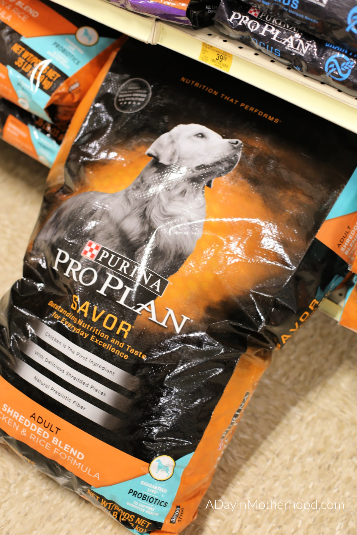 5 Foods Your Should Never Feed Your Dog and What You Can Feed Them A