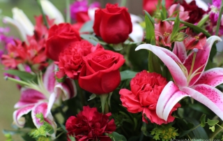 Valentine's Day Blooms with Beauty with Teleflora