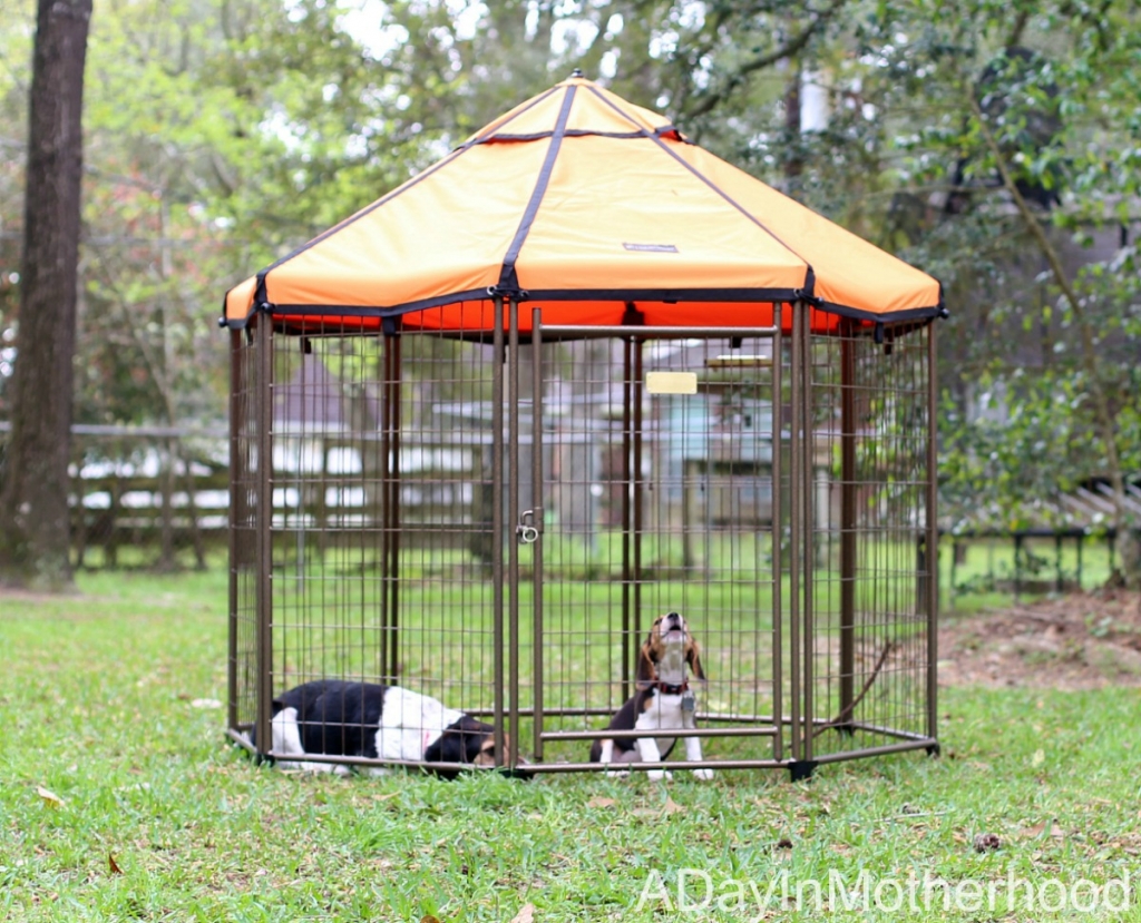Spoil Your Dog in a Relaxing Kennel from the The Pet Gazebo