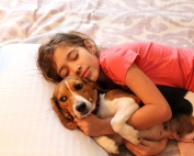 Pillows that the whole family had to have - cuddles