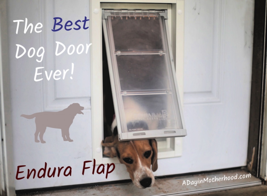 The Dog Door That Can Handle my Pack! {Endura Flap Review}