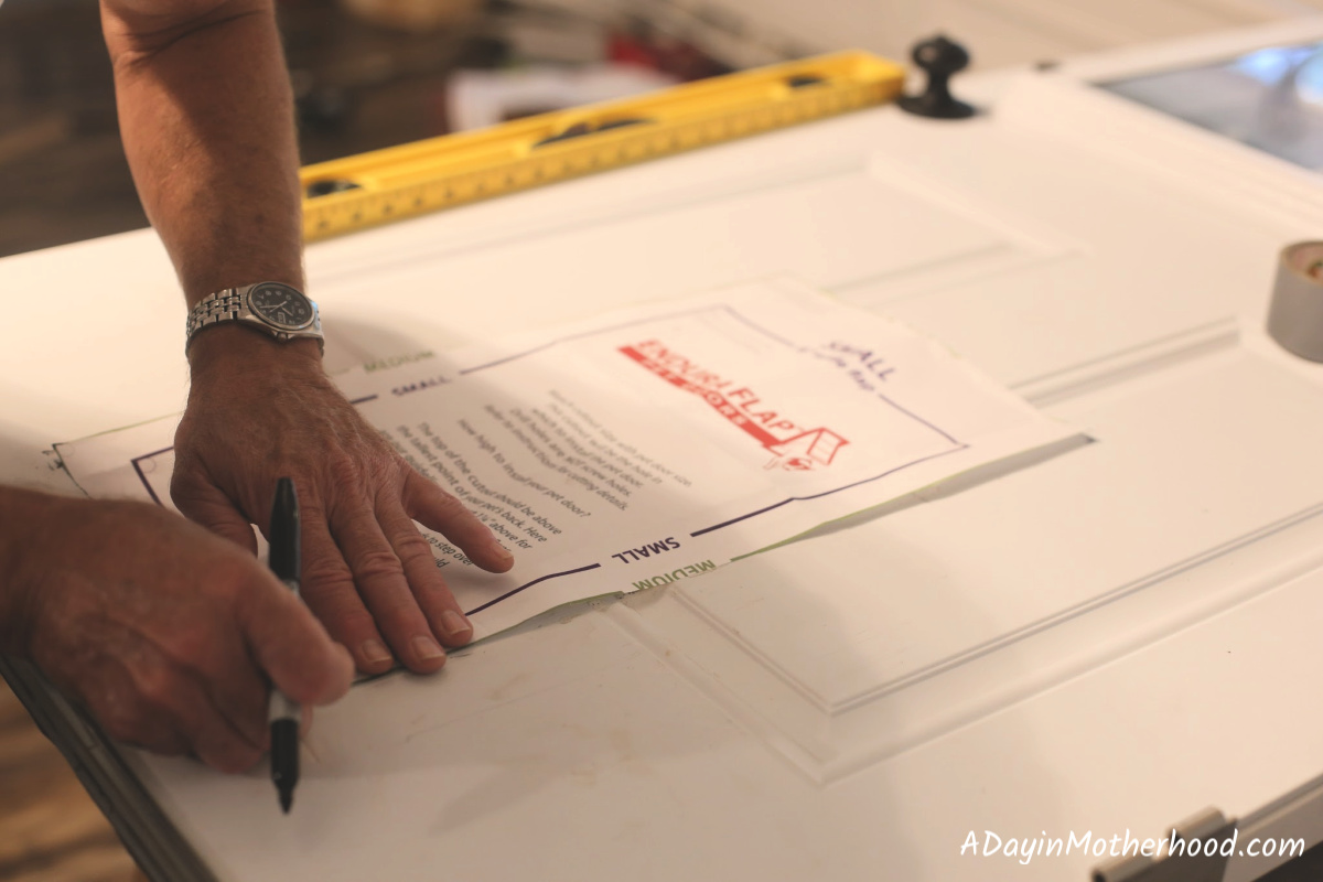 The Dog Door That Can Handle my Pack! {Endura Flap Review}